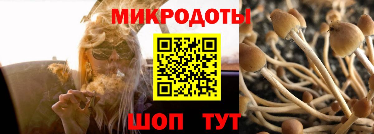 Владикавказ  Галлюциногенные грибы Psilocybine cubensis  Галлюциногенные грибы Psilocybine cubensis  Вход с VPN 